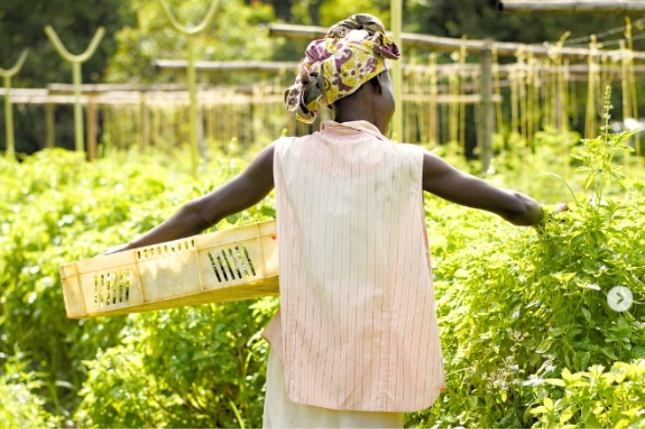 Safe Water Harvesting